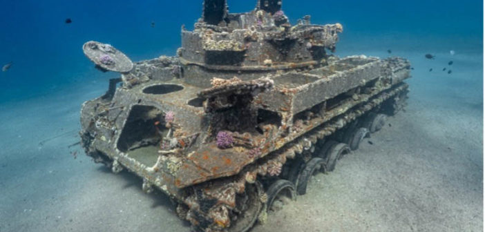 Deep Blue Dive Center, Aqaba Jordan