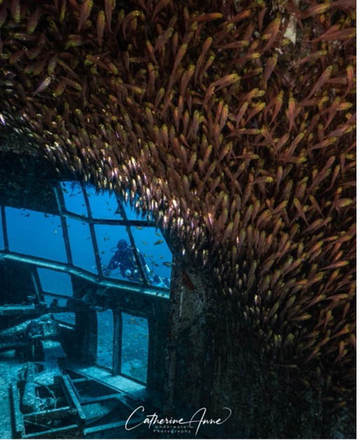 Deep Blue Dive Center, Aqaba Jordan