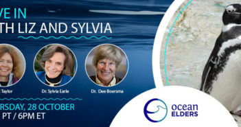 Dive in with Liz and Sylvia, Featuring Dee Boersma Dive In