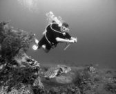 The Overlooked Health Benefits of Diving