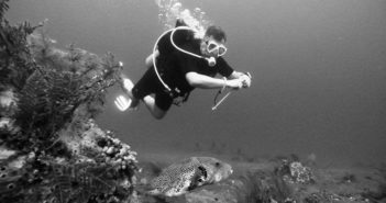 The Overlooked Health Benefits of Diving Dive Now, Work Later