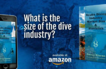 Business of Diving