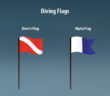 Dive Flags