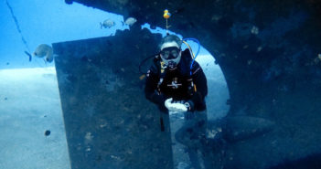 A Welcome Return To The Red Sea Martin Balls