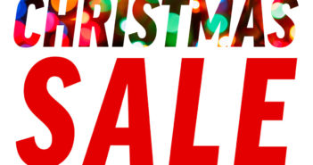 Northern Diver Christmas Sale