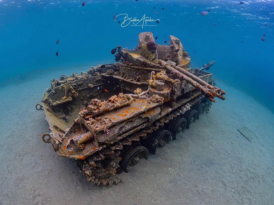 The Tank photo by Brett Hoelzer