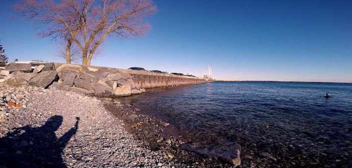 Olympic Harbour