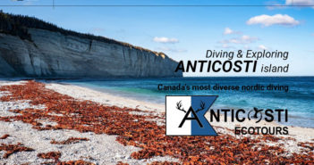 Scuba Diving Offered on Anticosti Island, Quebec as of Summer 2022 Quebec