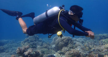 Reef-World Stronger and More Dynamic Moving Towards 2022 Despite Global Pandemic Reef World