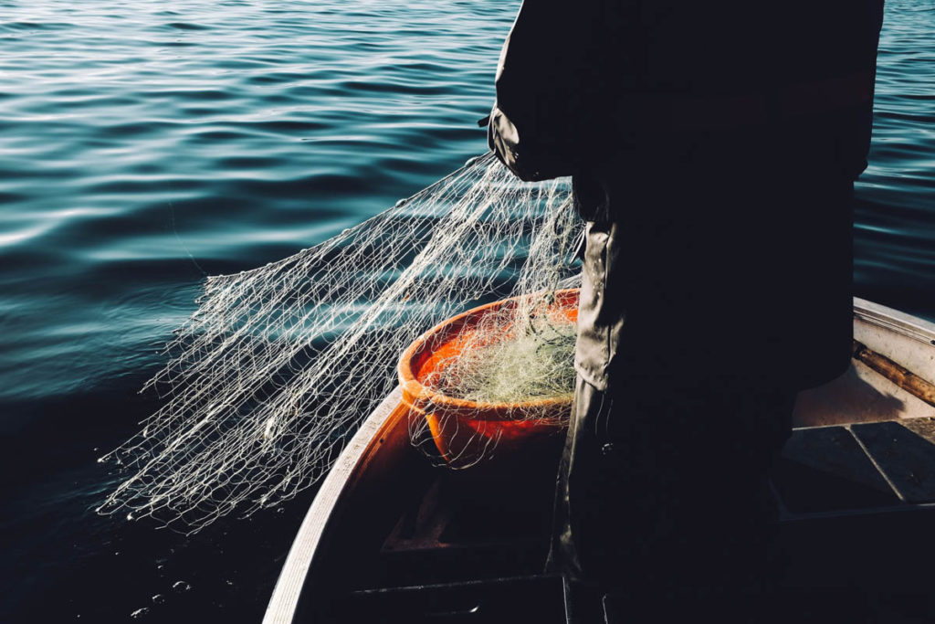 Fishing