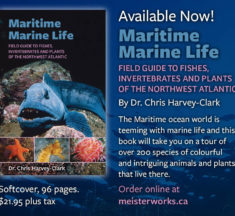 New from MeisterWorks Publishing: Maritime Marine Life – Field Guide to Fishes, Invertebrates and Plants of the Northwest Atlantic