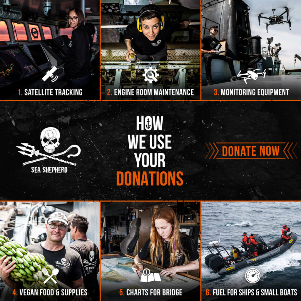 Sea Shepherd