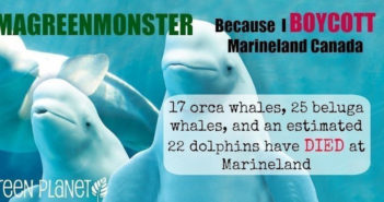 Marine Life Animals are Stuck in a Small Tank: Sign This Petition to Save Them