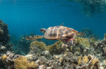 Deep Blue Dive Center