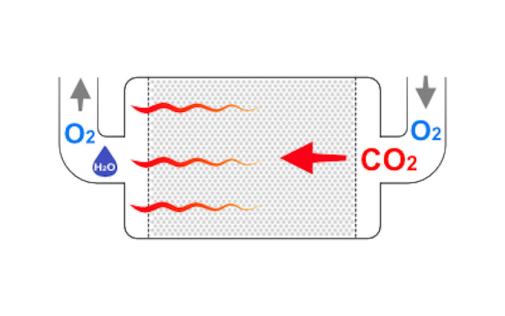 Divesoft CCR