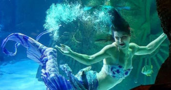 PADI Freediving and Mermaiding Mermaid