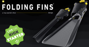 Folding Fins