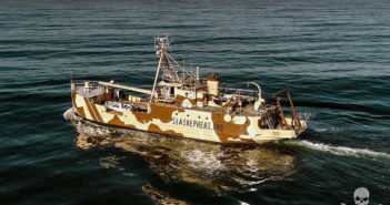 Sea Shepherd