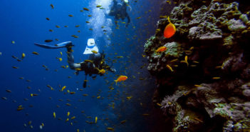 Diver Underwater