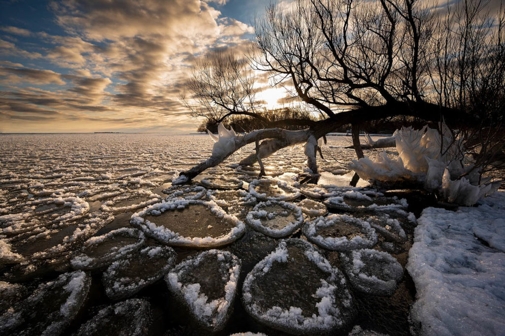 Ice Pancakes