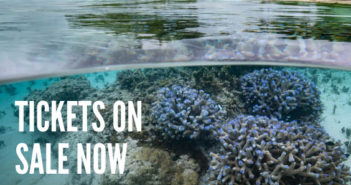 Learn More About The 19th Annual International Ocean Film Festival IOFF