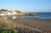 Kinghorn