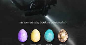 Northern Divers Online Easter Egg Hunt Is Back This Year Northern Diver