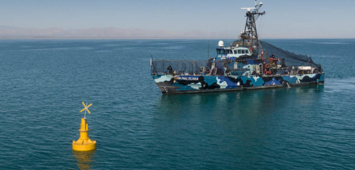 Sea Shepherd Conservation Society and the Mexican Navy Demonstrate Vaquita Partnership Progress