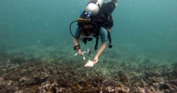 Following A Path To Marine Biology Stephanie Poole