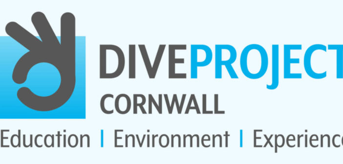 Dive Project