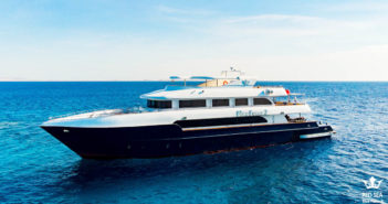Red Sea Liveaboard will Relocate To The Maldives Maldives