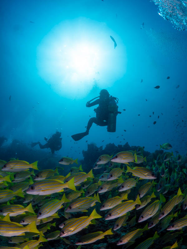 Euro Divers Maldives