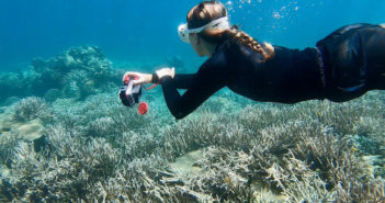 Reef-World Launches Green Fins Environmental Best Practice for Snorkeller Poster Reef World