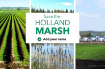 Save Holland Marsh