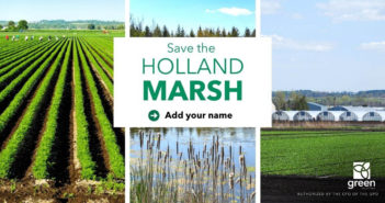 Save Holland Marsh