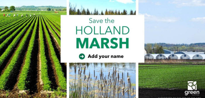 Save Holland Marsh
