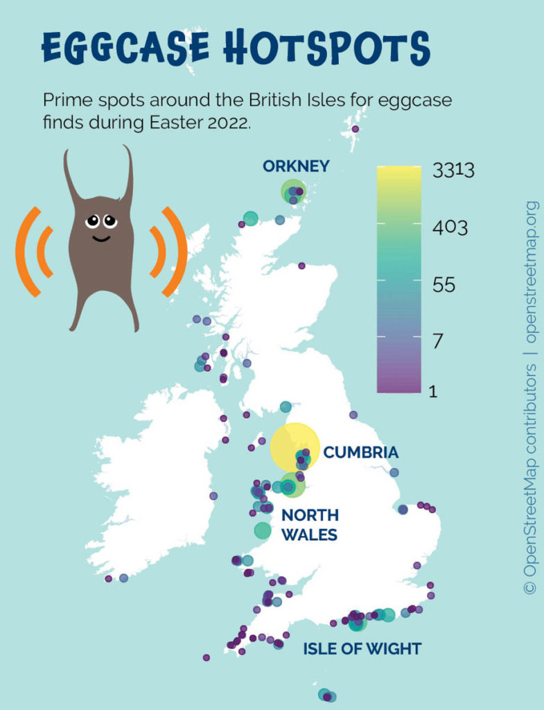 Shark Trust Eggcase Hunt 2022