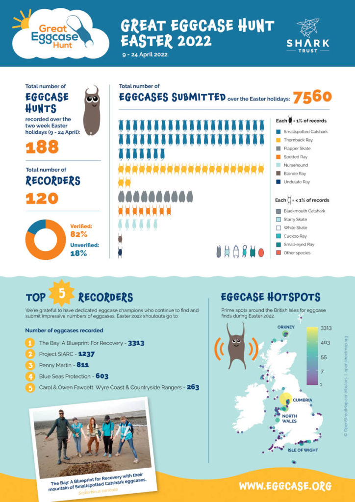 Shark Trust Eggcase Hunt 2022