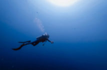 Diver Underwater
