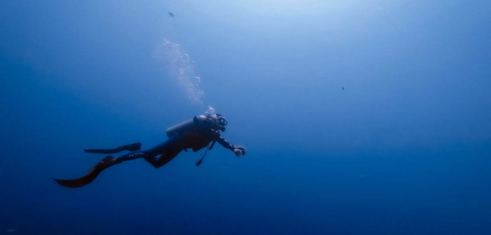 Diver Underwater