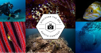 Discover the Sea Photography Contest REEF