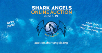 Shark Angels World Oceans’ Day Auction 2022 Launches