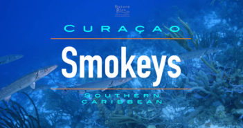 Smokeys Curacao