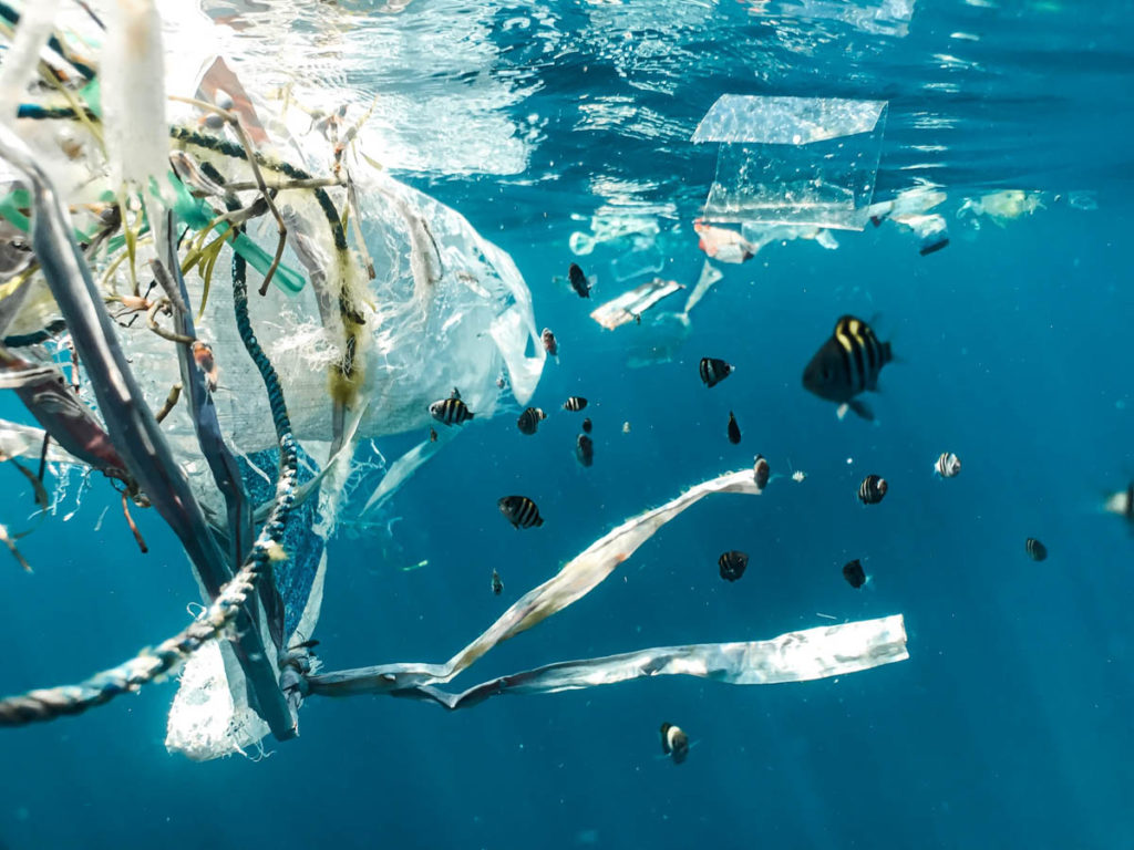 Underwater Plastics