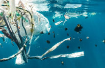 Underwater Plastics