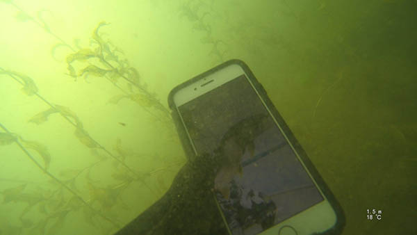 Yellowknife Divers