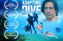 Adapting to Dive Movie