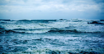 Statement from Josh Laughren, Oceana Canada’s Executive Director, Regarding the Renewed Canada’s Oceans Protection Plan Oceana