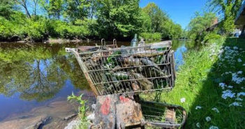 40 Minute Lunch Snorkel = a Shopping Cart Full of Bottles Plastic Waste