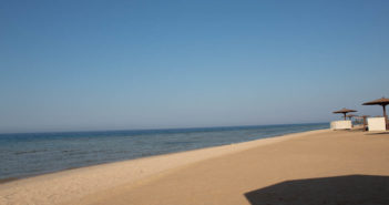 Two Separate Shark Incidents in Egypt Result in Fatalities Sahl Hasheesh